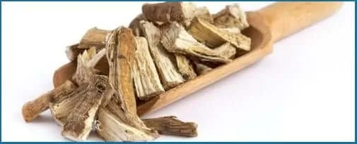Marshmallow Root in NerveCalm for digestive and calming support.