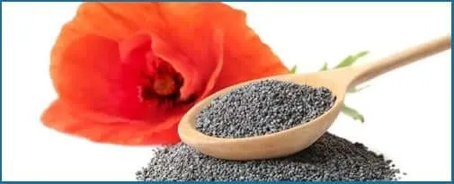 California Poppy seeds included in NerveCalm supplement for relaxation.